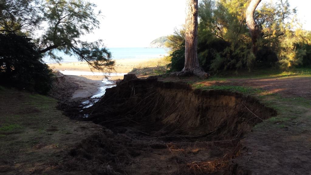 I fossi e lo stagno di Baratti (Piombino - LI)